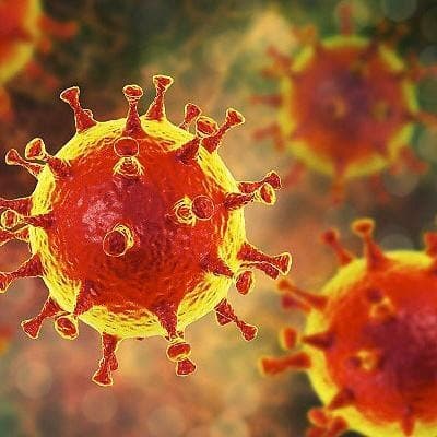 치질 치료제 '을자탕' 코로나19 억제 효과 확인…환자 대상 임상시험 돌입