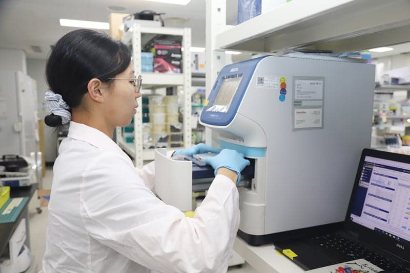 난치성 뇌암 교모세포종 치료 돌파구…성장 스위치 끄는 신약 후보물질 발굴