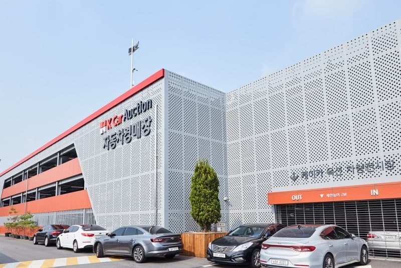 케이카 자동차 경매 '위클리 옥션' 1000회 돌파…중고차 43만 대 새 주인 찾아