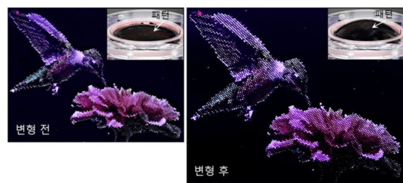 고무줄처럼 늘려도 선명하게…DGIST, 세계 최고 밝기 신축성 QLED 개발