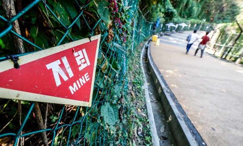 DMZ 수색 중 2차례 폭발…강신철 장관 '진정한 영웅 끝까지 지원'
