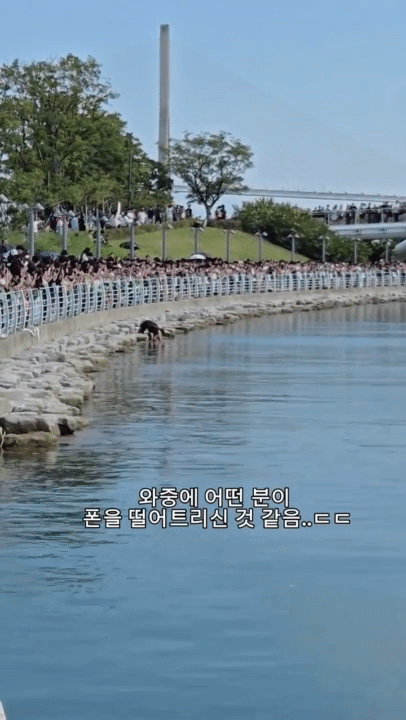 부산 북항친수공원 상어 출몰에 인파 북적…휴대전화 찾으려 수로 뛰어든 시민까지