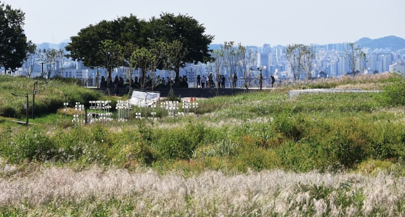 절기 '추분' 낮더위와 15도 안팎 큰 일교차…추석 연휴 곳곳 비 예보