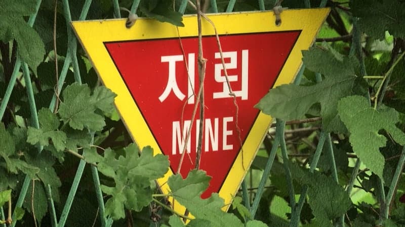합참, 서부전선 지뢰 폭발 TF 구성…'안전 확보 후 철저 조사'