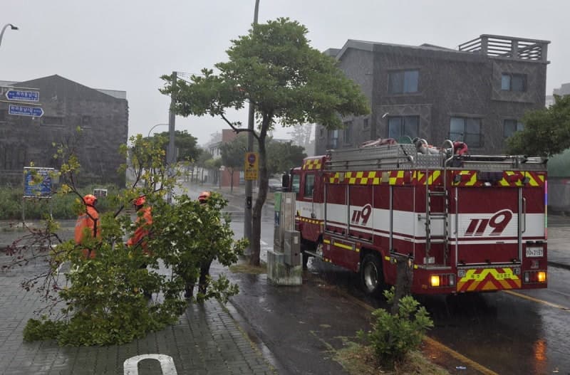 제주 강풍·호우 피해 잇따라…전신주 쓰러지고 나무 부러져