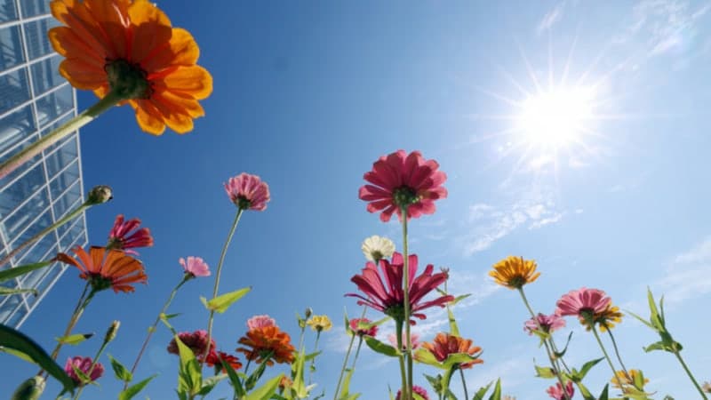 귀경길 남부·제주 최대 80㎜ 비바람…중부는 차차 맑아져
