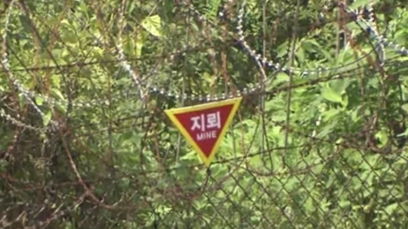 DMZ 지뢰 폭발 합동조사 착수…여야 '현장 검증' 방식 놓고 충돌