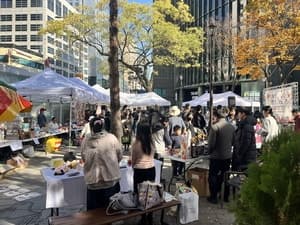 서울 중구, 10월 충무로와 명동에서 골목형 상점가 축제 연다