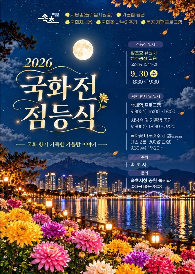 낮에는 꽃 밤에는 빛, 12만 본 국화로 물드는 2026 속초 국화전