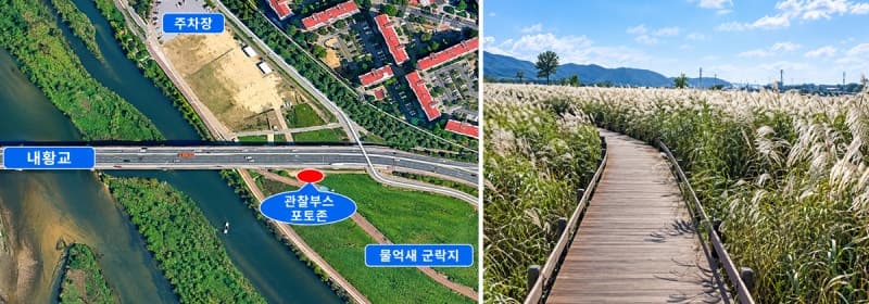 울산 태화강 하구에서 즐기는 가을 정취, 물억새 생태체험장 운영