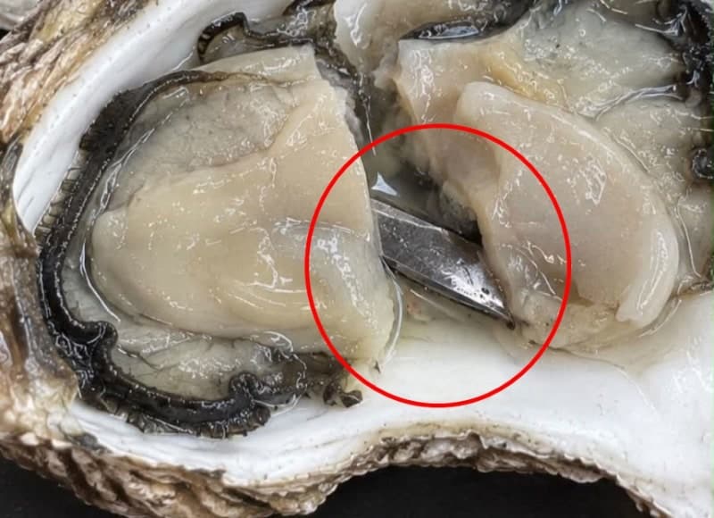 을지로 유명 오이스터바 굴 요리서 5cm 칼날 조각 발견 논란