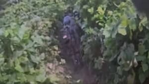 군 "DMZ 폭발, 북한군 지뢰 가능성 매우 높아…최종 판정 시 상응 조치"