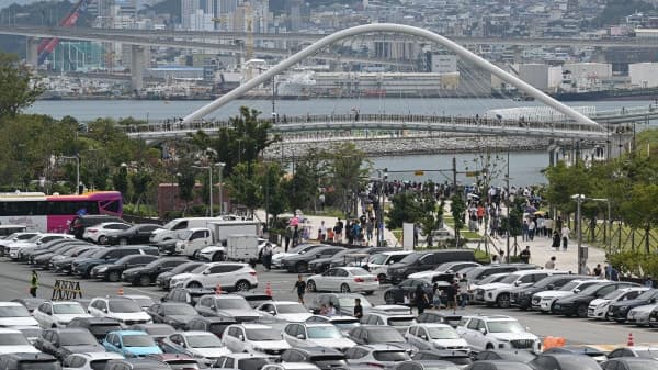부산 북항 인공 수로에 나타난 상어 '부캉이' 보러 56만 명 몰렸다