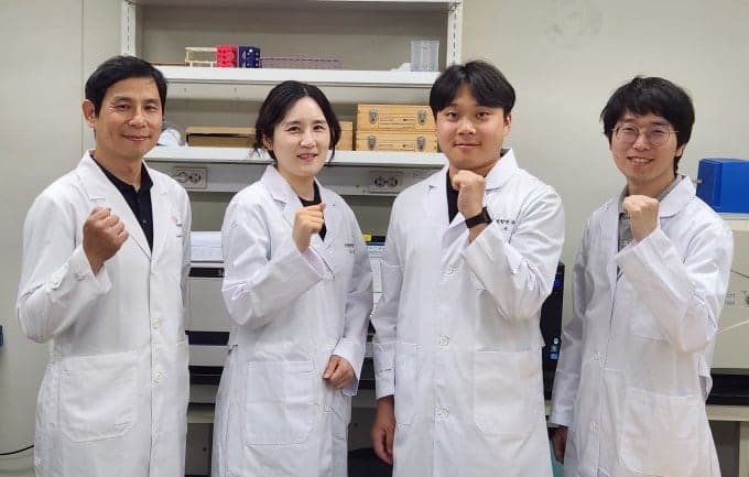 면역항암제와 한약 보중익기탕 병용하니…암세포 공격 면역세포 활성↑