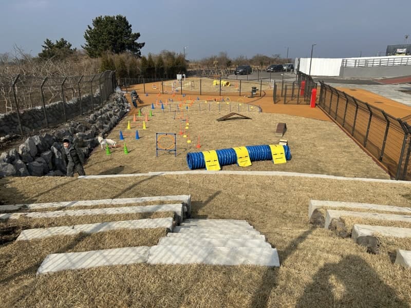 제주 첫 유기동물 입양축제 '제1회 제주 입양오름제' 10월 11일 개최