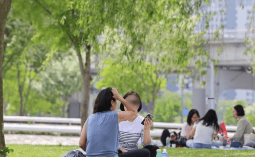 치킨 대신 회…2030 세대 사로잡은 한강 '회크닉' 열풍