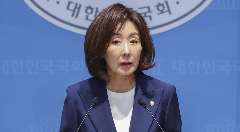 나경원, 'DMZ 지뢰 참사' 진상규명 결의안 발의…한동훈·이준석 등 야권 대거 동참