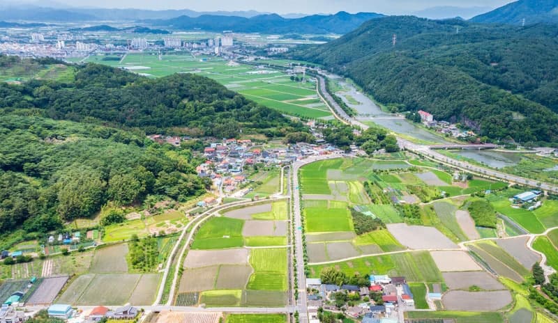 농지 전수조사 원칙대로 추진하되 투기-실경작 구분해야