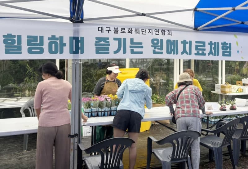 50년 전통 불로화훼단지, AI 기술 접목한 가을꽃 축제 연다