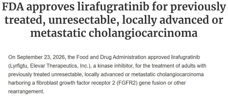 HLB, 담관암 신약 '리픽투' 美 FDA 허가…국내 기업 첫 사례에 그룹주 강세