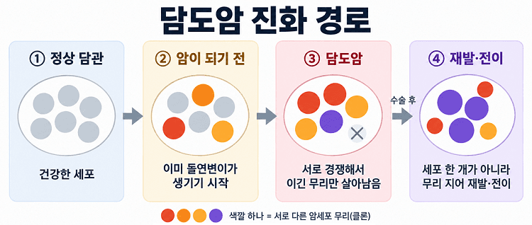 담도암 발생부터 재발·전이까지, 암 진화 경로 규명