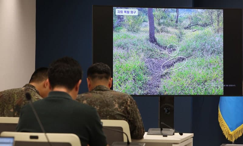 DMZ 수색로 개척 작전 중 지뢰 폭발…군사분계선 10m 앞서 연쇄 사고