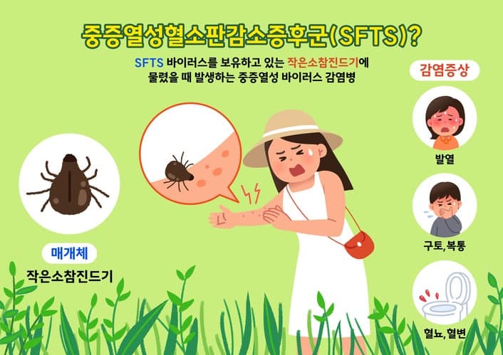 지난해 '살인진드기' 65% 급증…인수공통감염병 10년 추이 분석해보니