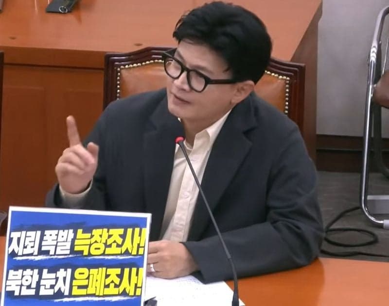 야당만 참석한 외통위, DMZ 지뢰 도발에 '대통령 대북송금 약점' 공세