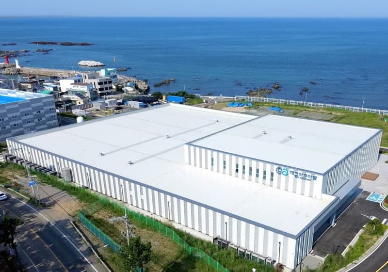 부산, 전국 최초 대서양연어 육상양식 성공…K-연어 첫 출하