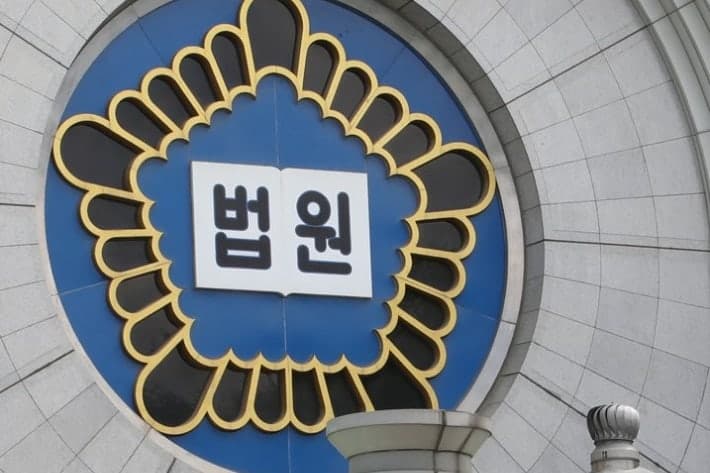 성인 발달장애인 자녀 사고에 부모 배상 책임…'감독 의무' 위헌심판 제기