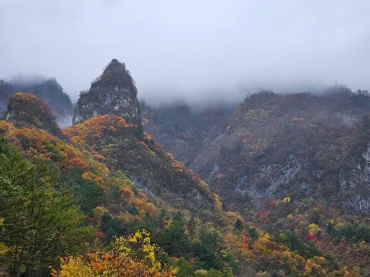 삼척 지질유산 연구논문 국제학술지 게재…국가지질공원 인증 탄력