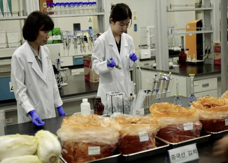 서울시, 중국산 김치·배추 특별점검…위해성분 '불검출' 확인
