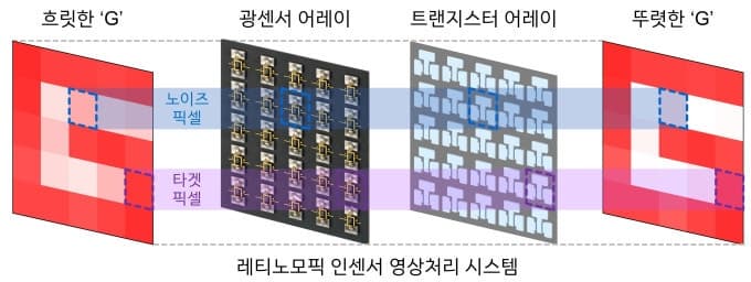 사람 망막 닮은 반도체 센서 개발…AI 영상 인식 정확도 97% 달성