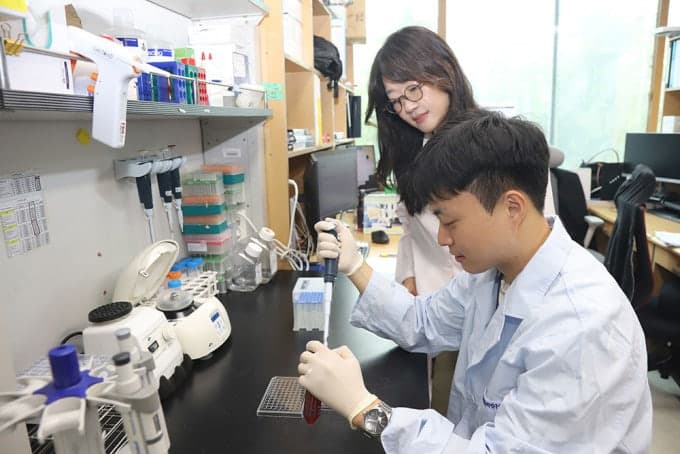 미성숙 심근세포 성인처럼 뛰게 했다…심근경색 치료 새 길 열려