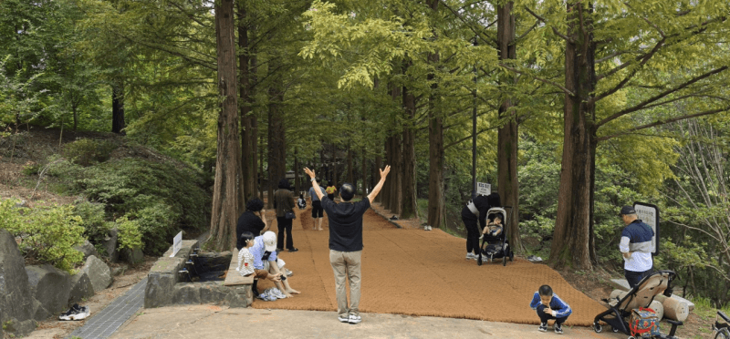 다시 문 연 금강수목원, 재개방 일주일 만에 6600명 발길