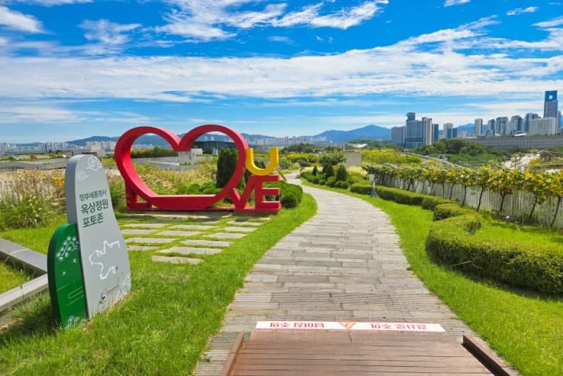 기네스북 등재 정부세종청사 옥상정원에서 즐기는 '별빛산책' 참가자 모집