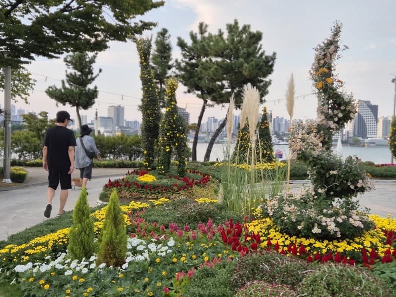 10월의 첫날 찬 바람에 기온 '뚝'…올가을 가장 쌀쌀한 날씨