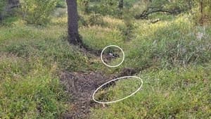 DMZ 지뢰 폭발은 북한 소행…유엔사 '정전협정 위반' 규탄에도 김여정은 '자작극' 주장