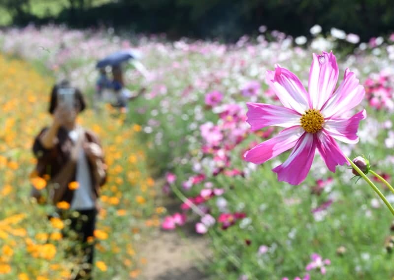 북쪽 찬 공기 유입에 아침 기온 '뚝'…15도 안팎 큰 일교차와 강풍