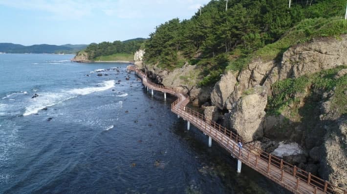 포항 호미반도, 유네스코 생물권보전지역 지정 본신청서 제출