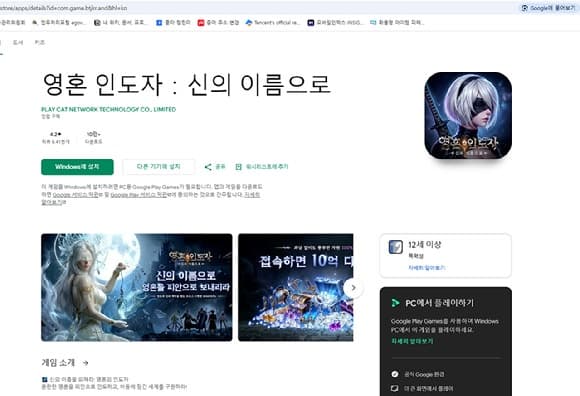 게임물관리위원회, 확률형 아이템 표시 의무 위반 '영혼 인도자' 국내 유통 제한 추진
