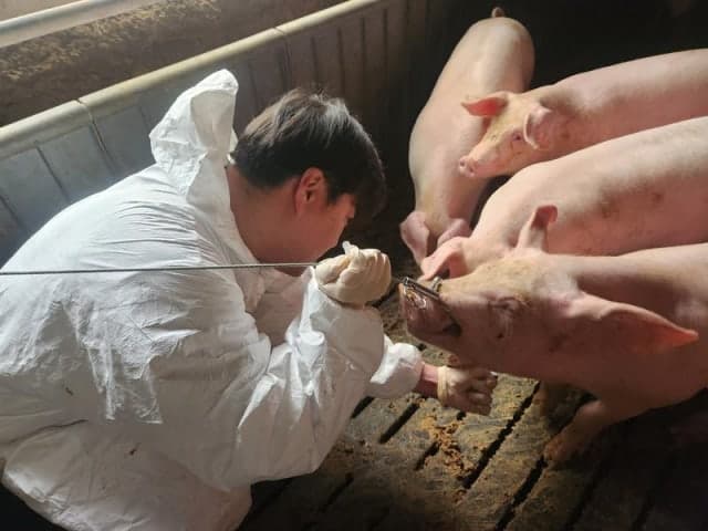 경남도, 겨울철 가축전염병 차단…내년 2월까지 24시간 특별방역 가동