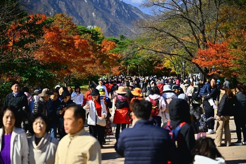 단풍철 설악산 교통혼잡 줄인다… 속초시 특별교통대책 본격 시행