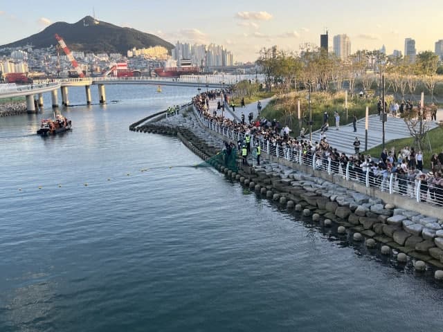 바다 코앞서 멈춘 상어 '부캉이'… 2차 구조 작전도 그물 걸려 중단