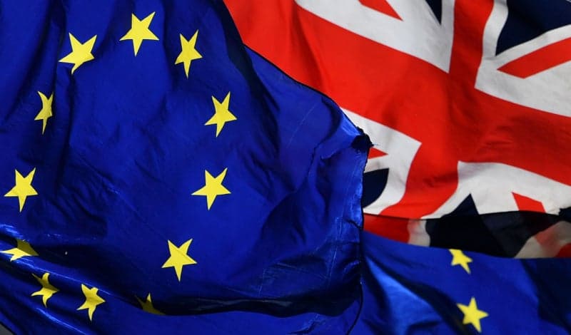 앤디 버넘 영국 총리, EU 재가입 시사…유권자 49% 찬성