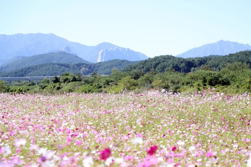 개천절 전국 대체로 맑지만 아침 기온 뚝 떨어져 일교차 주의