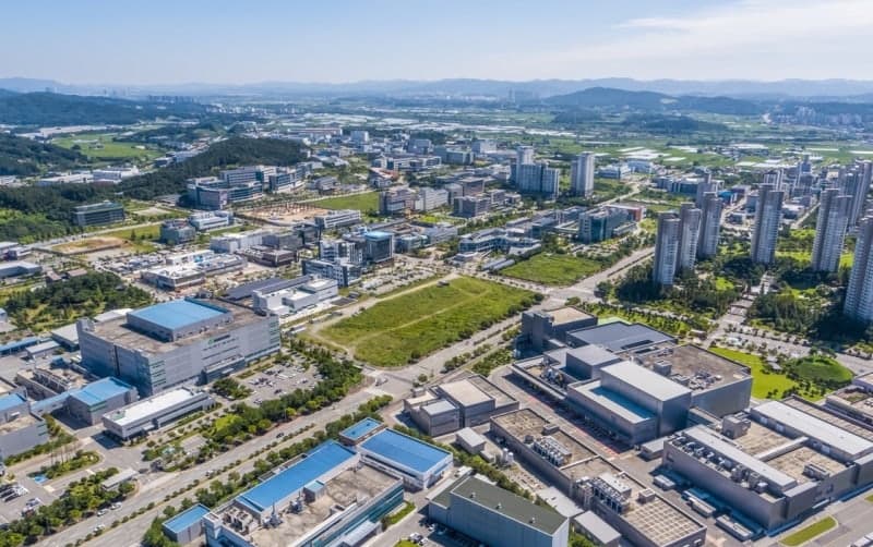 정책자금으로 부동산 임대업 벌인 중소기업 40곳 적발