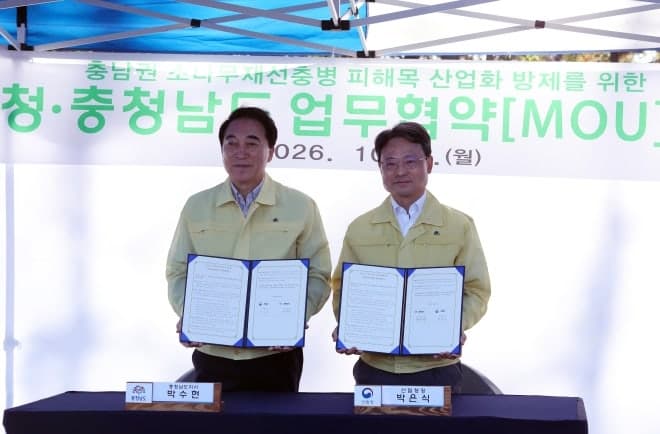 재선충병 피해목, 버리지 않고 목재로···충남도 '산업화 방제' 본격화