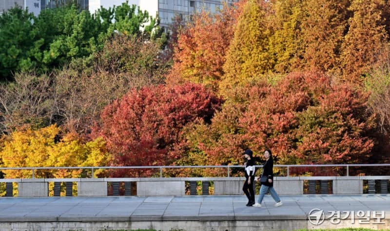 강원 태백·평창 산지 한파주의보, 2005년 이후 가장 이른 발령