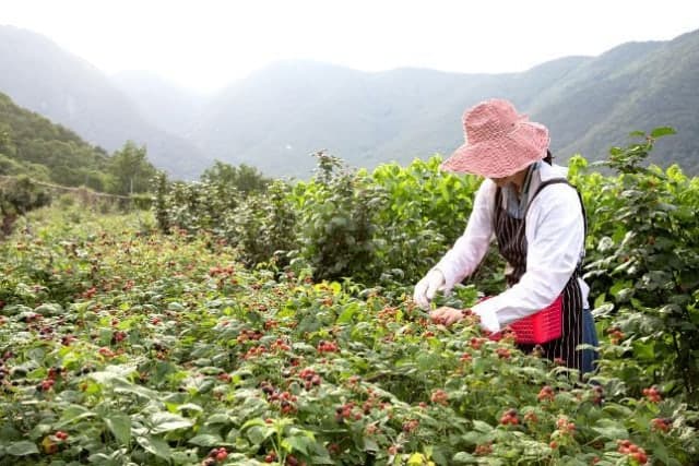 한농대-임업진흥원, 청년 임업 창업 위한 실무 교육 실시